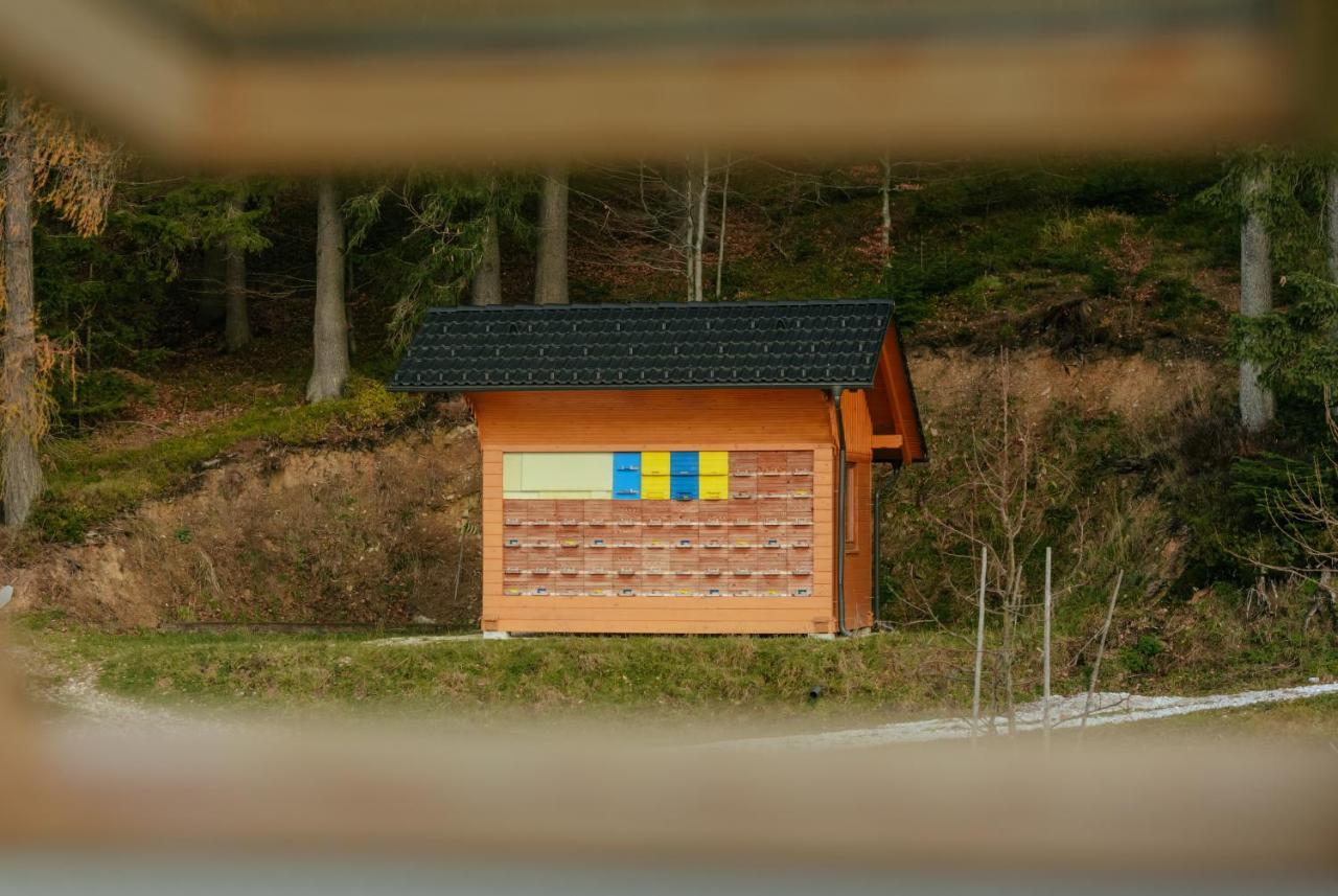 Apartments Cenda 젤레즈니키 외부 사진
